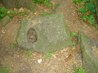 Teufelsfu