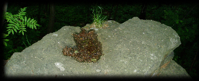 Götterhand - handförmige Auswitterung an der Soraer Teufelskanzel