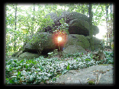 Thors Amboss - Die steinerne Himmelsscheibe von Neusalza-Spremberg, Sommersonnenwende 2008